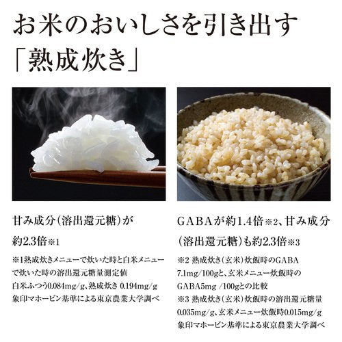 Zojirushi KIWAMEDAKI IH Rice Cooker  NP-VQ18-TA - YoYoMoNo
